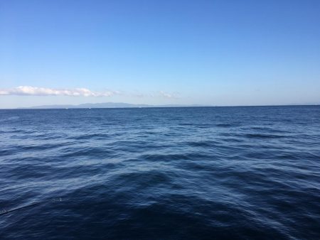 飲ませでヒラメ